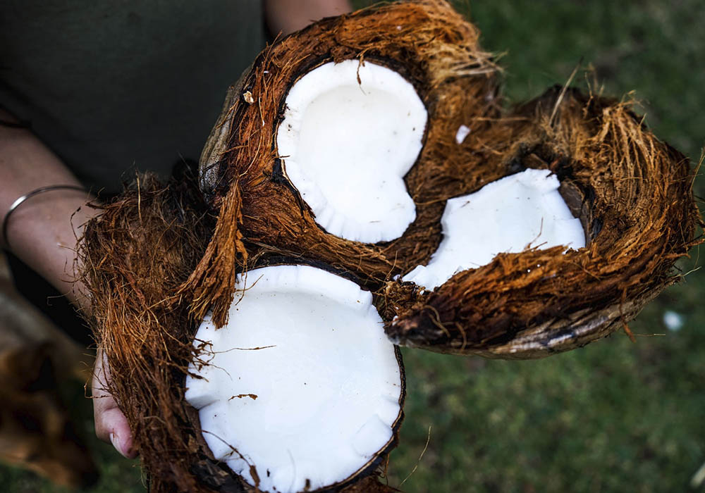 holding opened coconuts